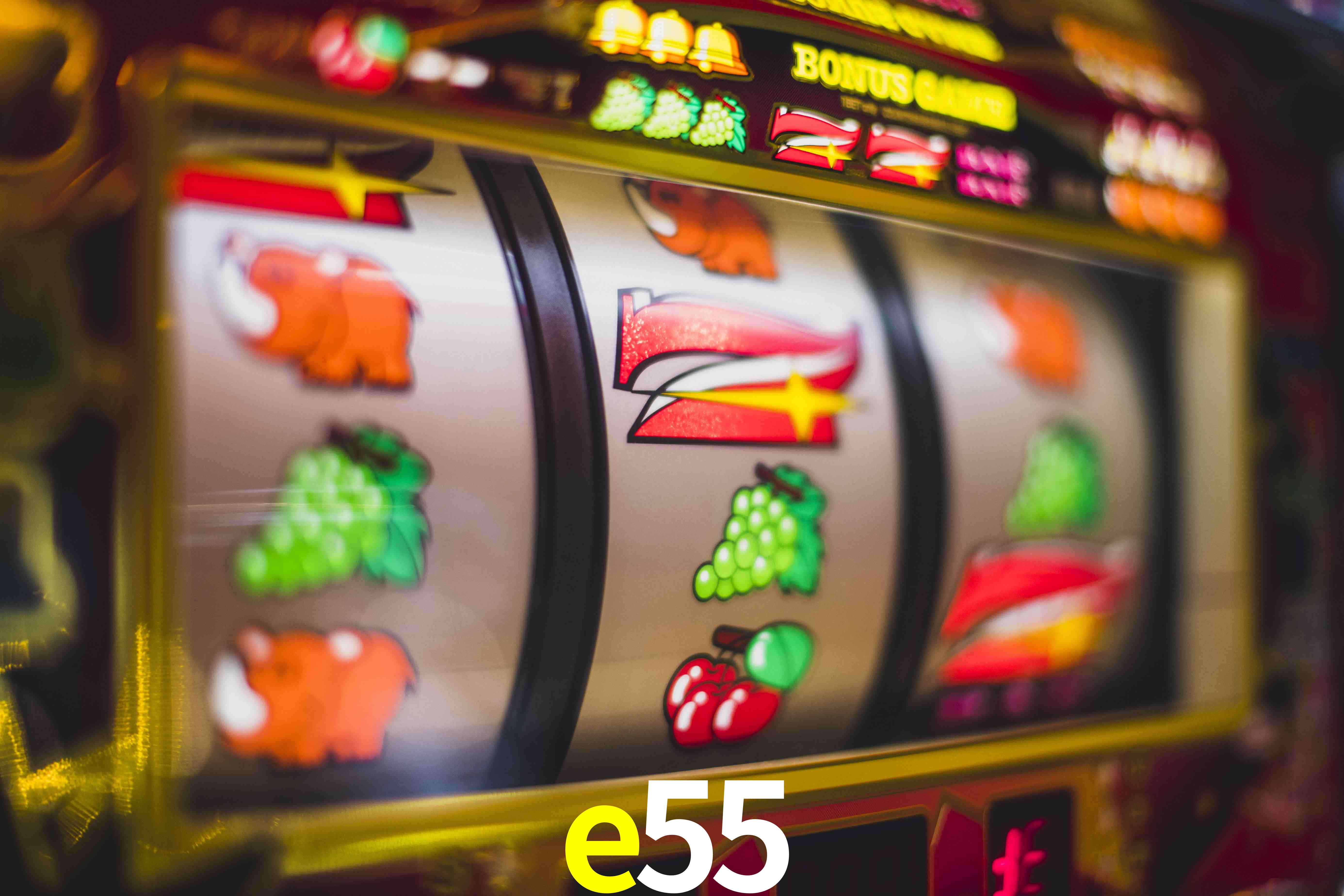 VIP Casino e55
